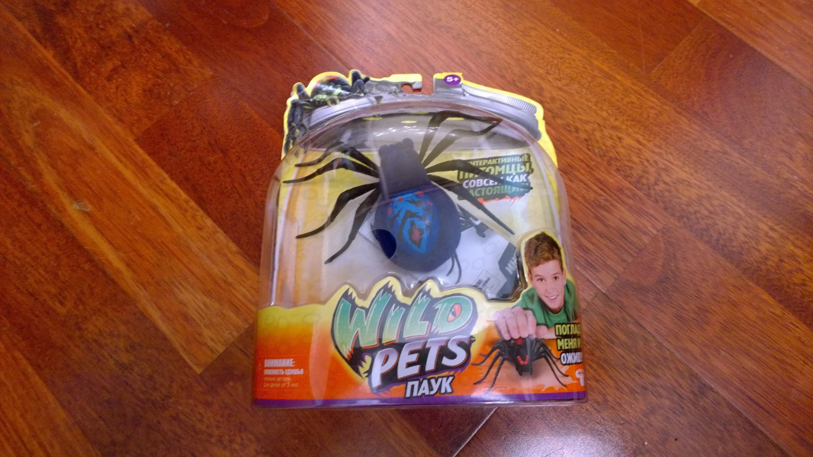 WP 20151211 21 14 04 Pro.jpg