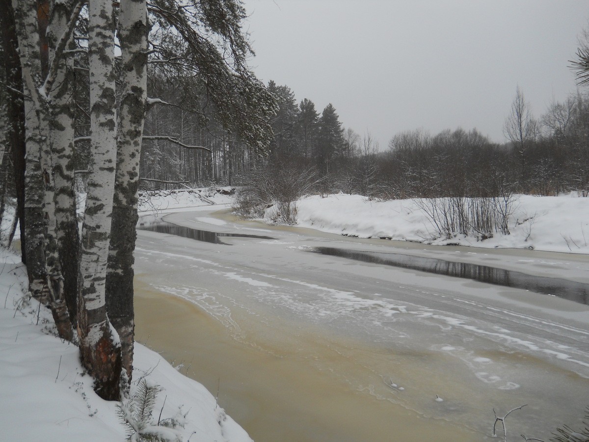 DSCN0179.JPG