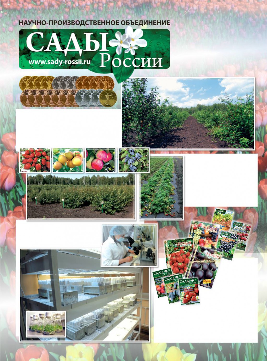 Интернет магазин семян сады россии. Каталог семян сады России. Семь семян каталог на 2022. Семена сады России каталог. Челябинские семена интернет магазин.