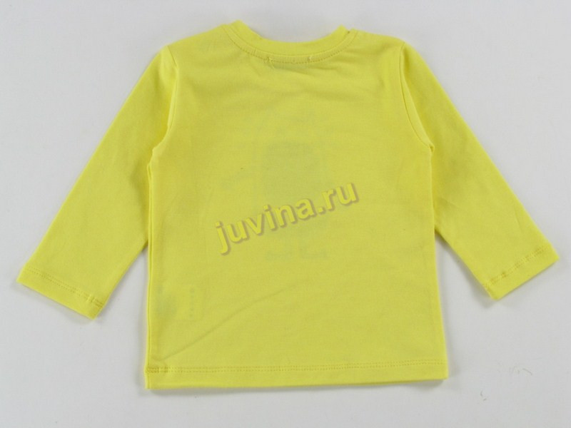 WW1622TL0B24X-POT15-IMG 9887 ().jpg