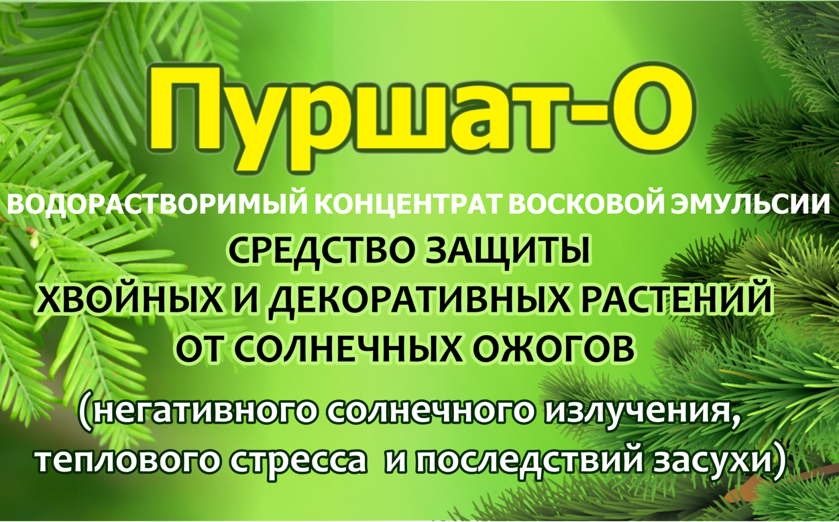 Плакат.png