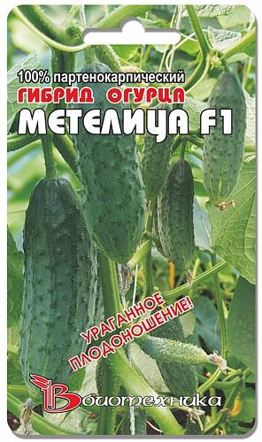Огурец Метелица F1. 8 шт. 22 руб.jpg