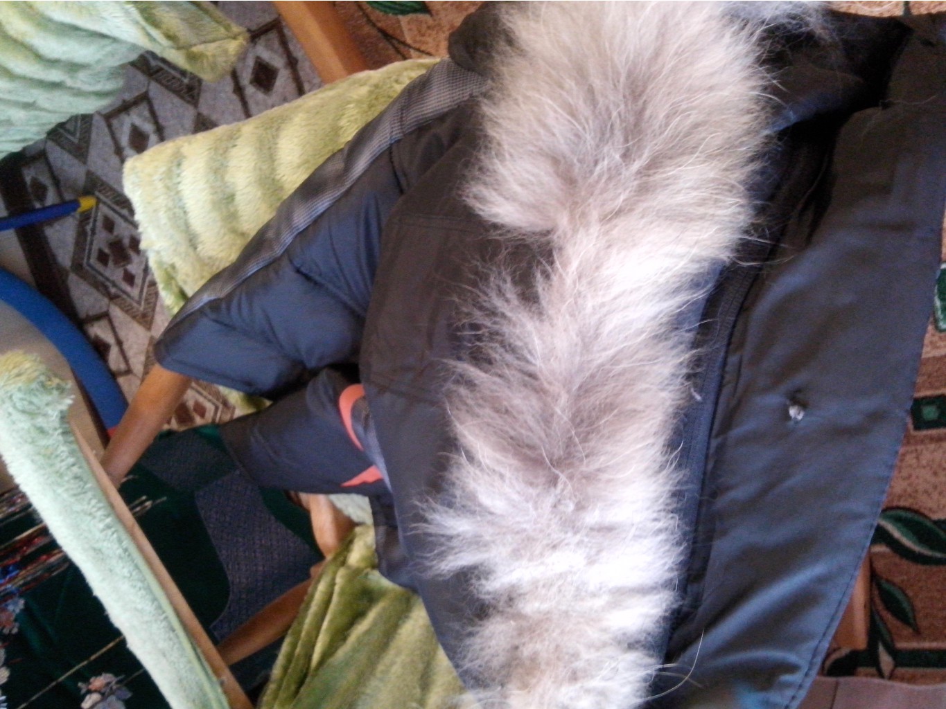 20160106 115546.jpg