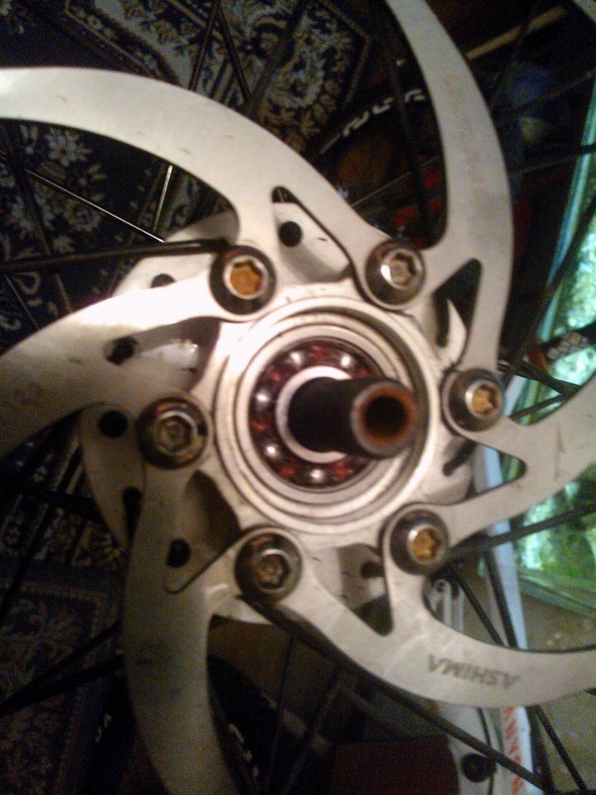 Gt1.jpg