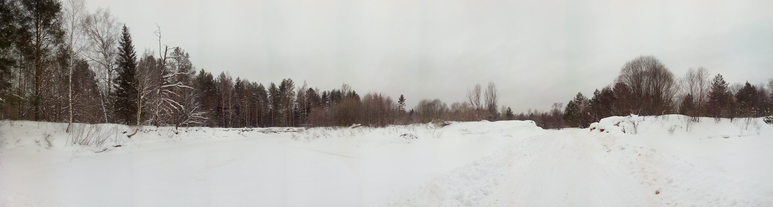 IMG 20160117 105438.jpg