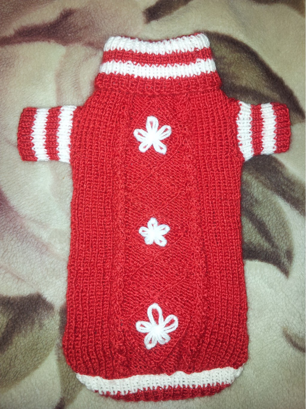 56a86d14e4d71 20160127073610.jpg