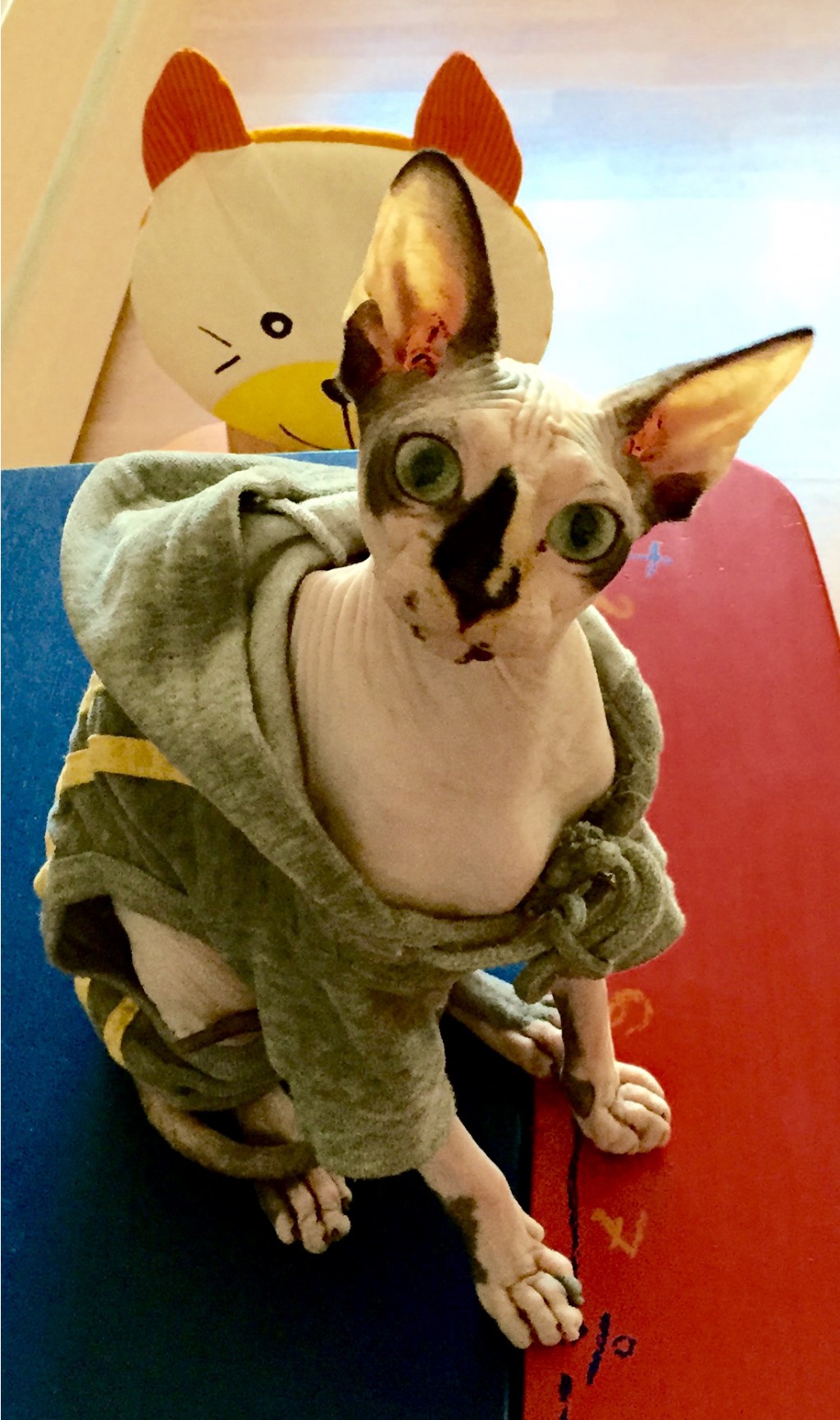 Image.jpeg