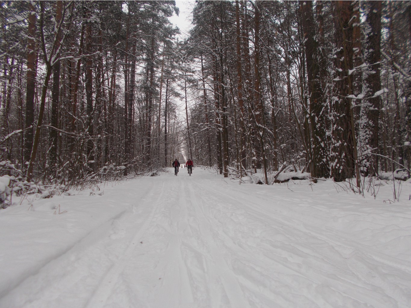 DSCN2738.JPG