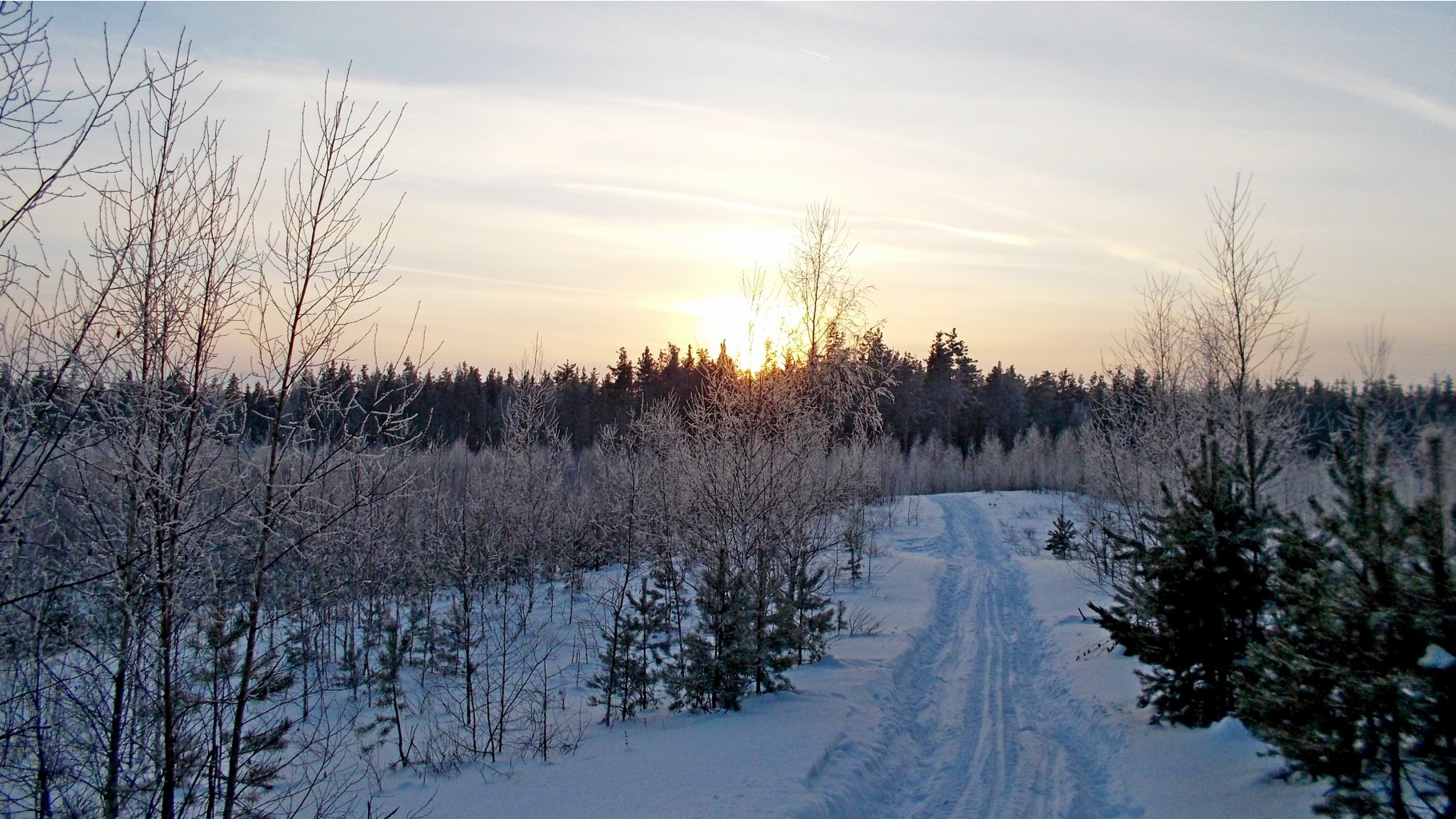 2016-01-16 09 cr.jpg