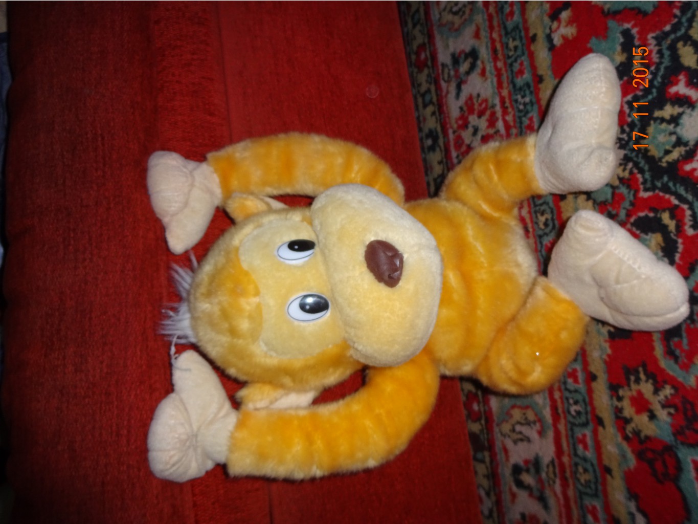 DSC01237.JPG