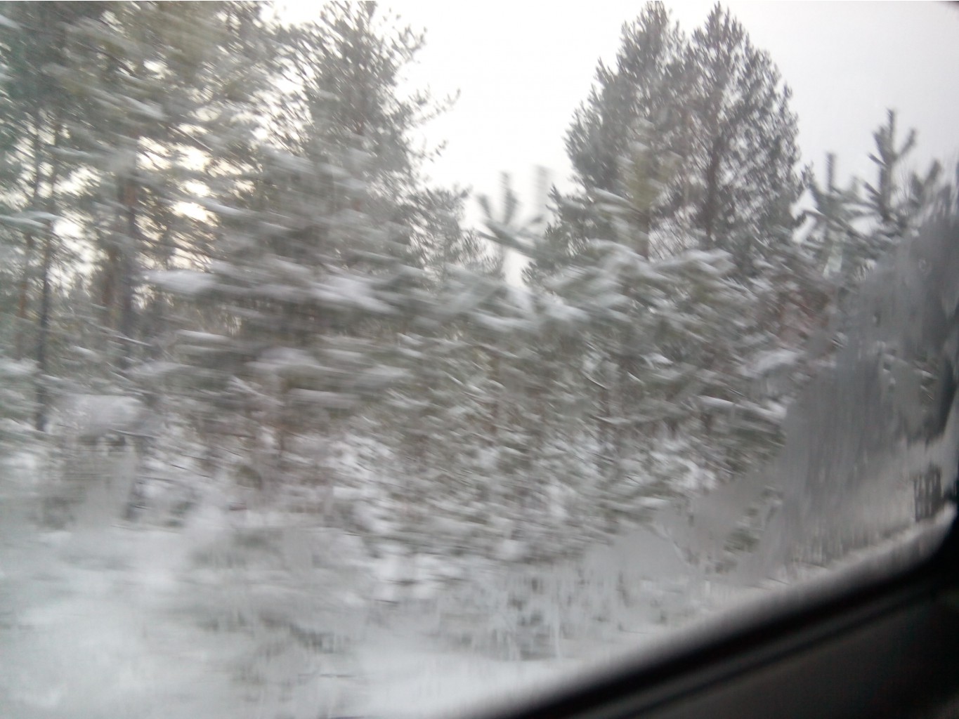 IMG 20160104 112204.jpg
