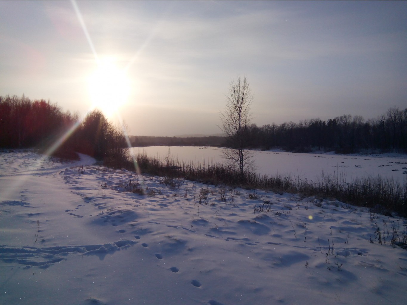 IMG 20160104 135500.jpg
