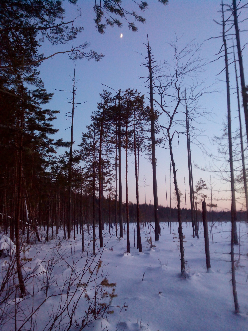 IMG 20160116 160439.jpg