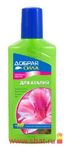    ,   250,  DS21010181 40,08.jpg