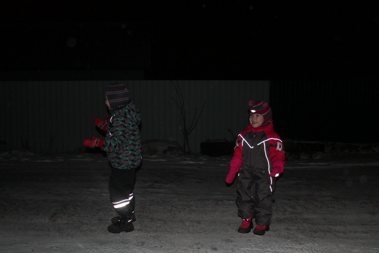 IMG 2705.JPG