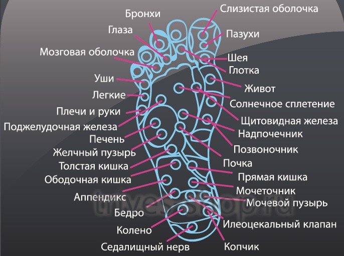 активные зоны