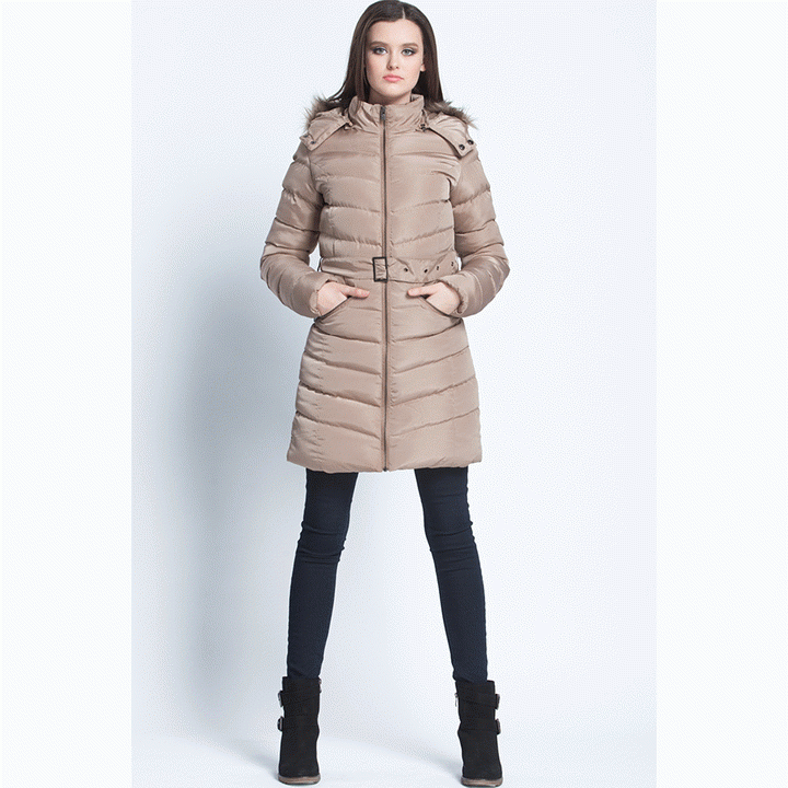 Brown-FW14C   .GIF