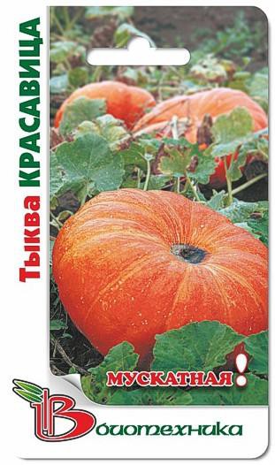 Тыква мускатная Красавица. 4 шт. 14 руб.jpg
