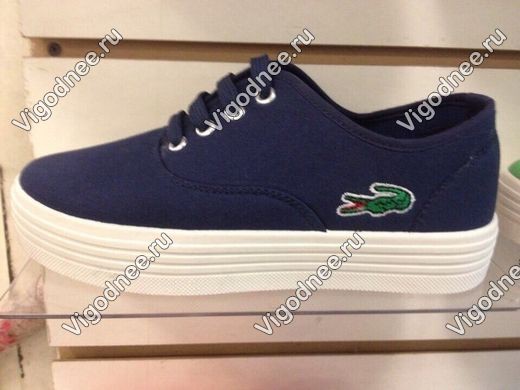 15065      Lacoste - -390 .jpg