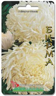 Астра китайская серия Дракон Бирма. 70 шт. 9 руб.jpg
