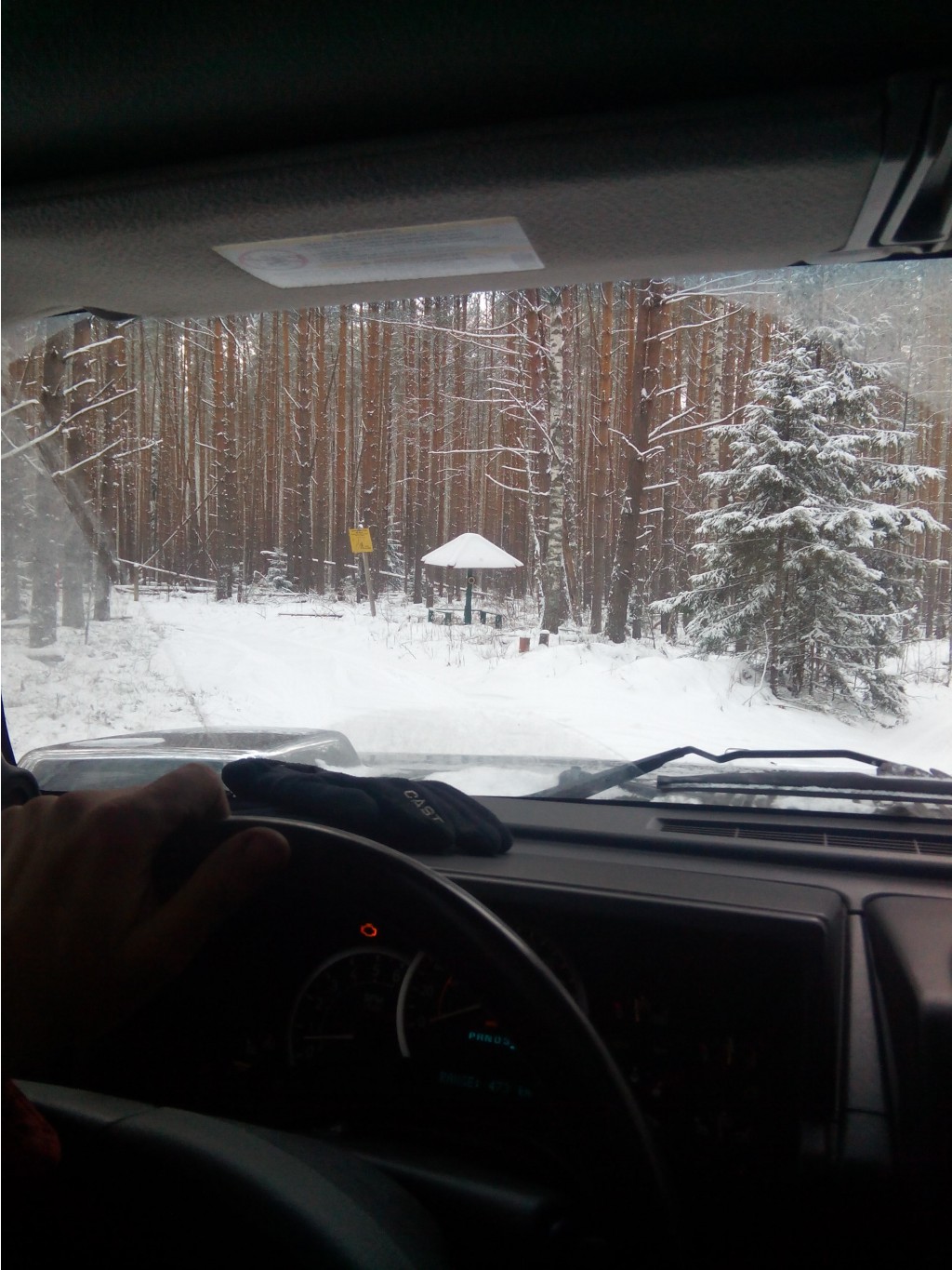 IMG 20160104 123816.jpg