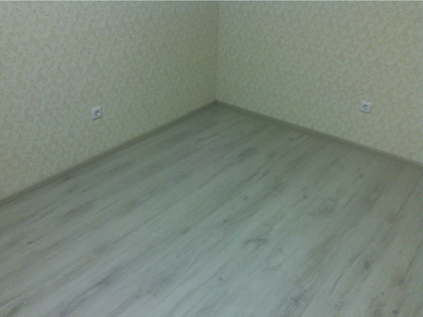 IMG 20150212 175419.jpg