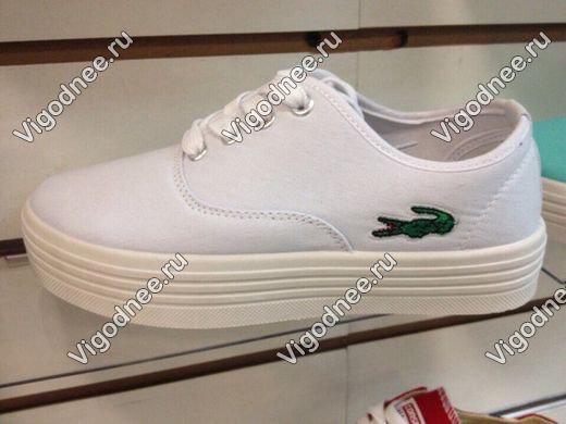 15059      Lacoste  -488 .jpg