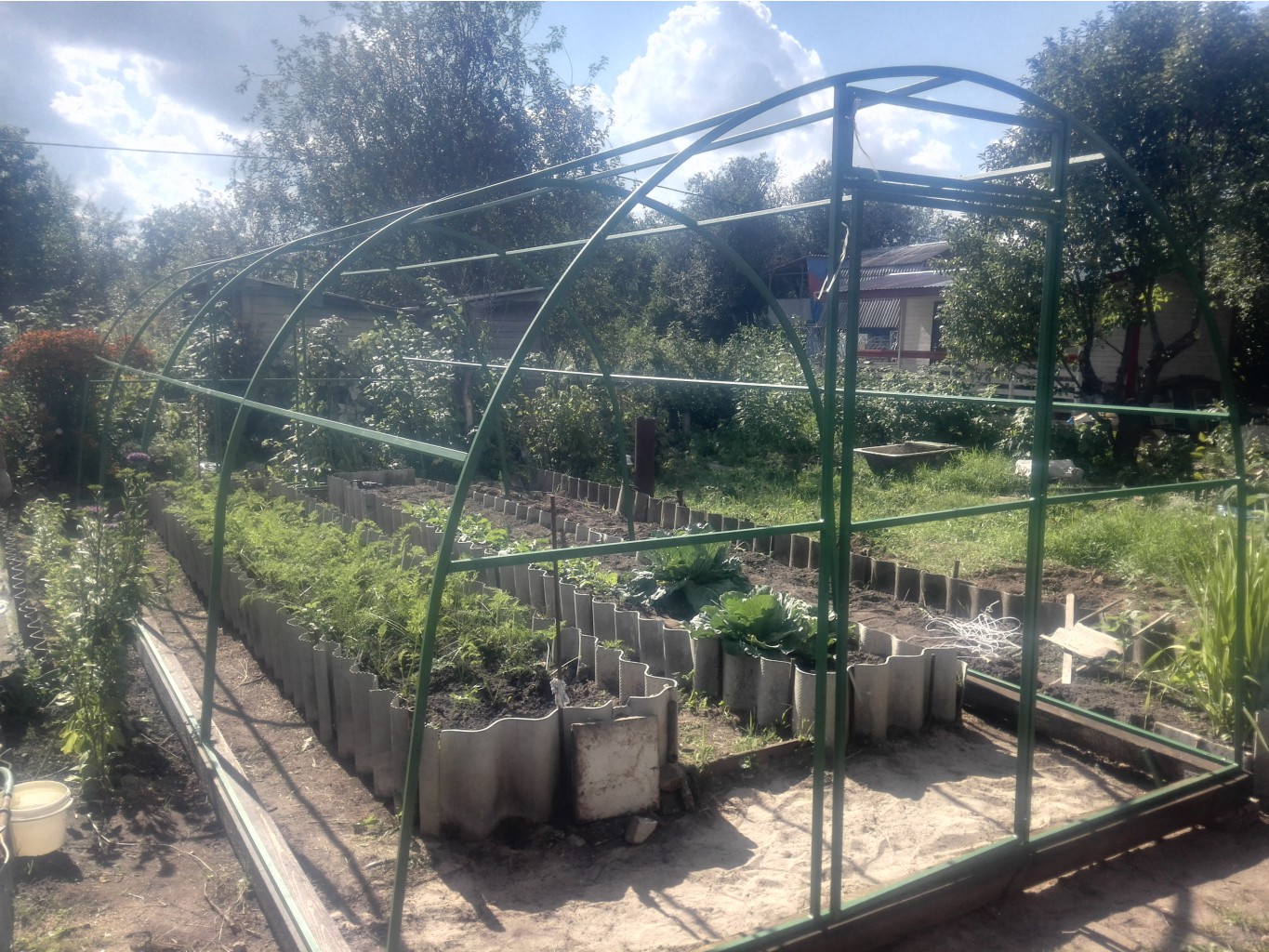 IMG 20150812 142409.jpg