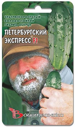 Огурец Петербургский Экспресс F1. 8 шт. 22 руб.jpg