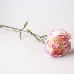 Гвоздика 9139, light lilac 79р.jpg