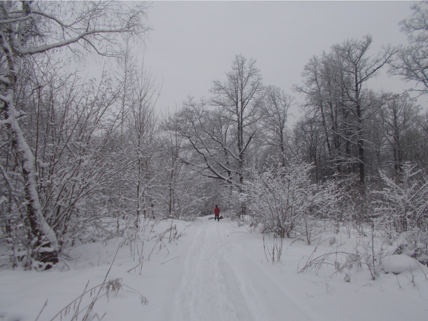 DSCN2725.JPG