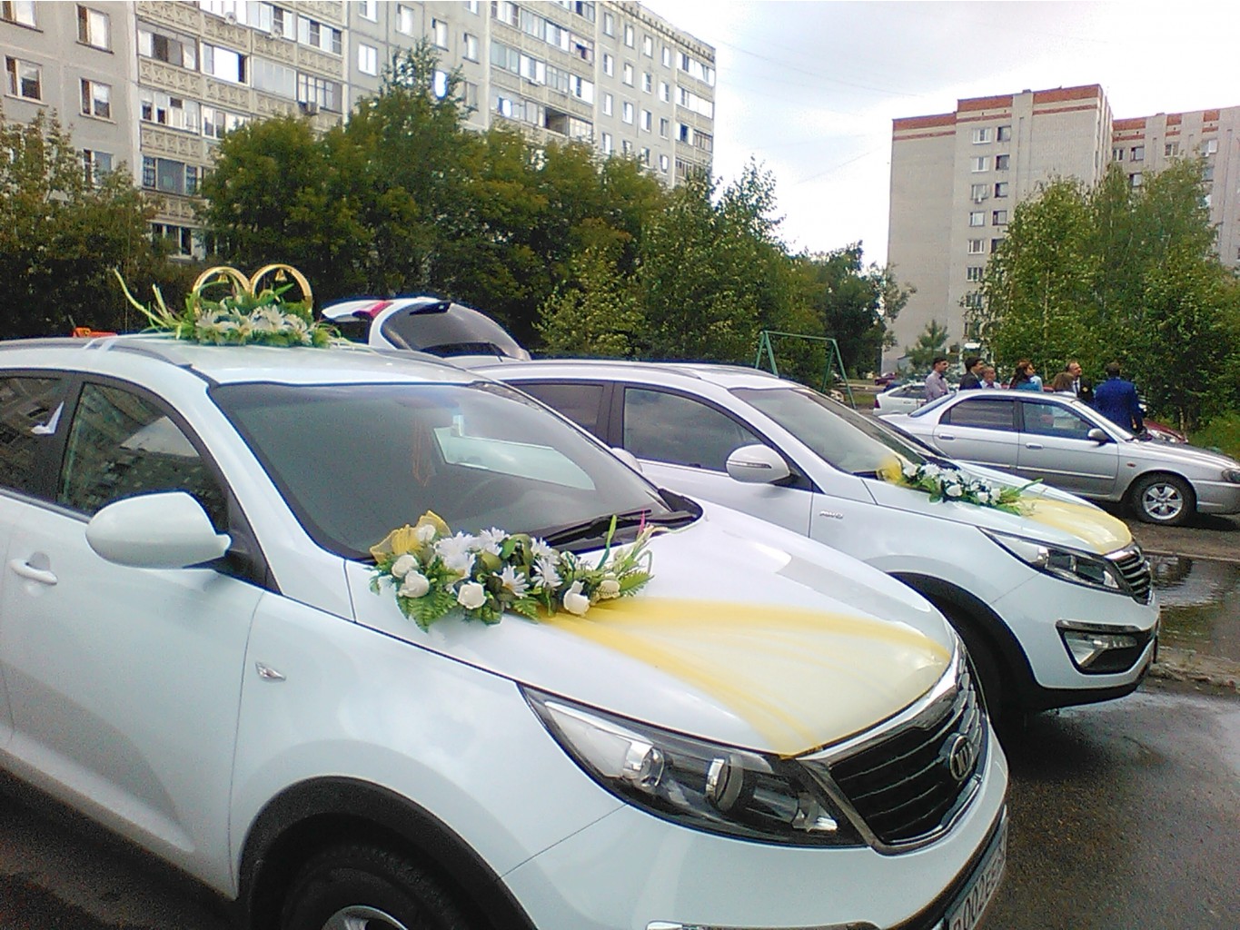 IMG 20150731 093728.jpg