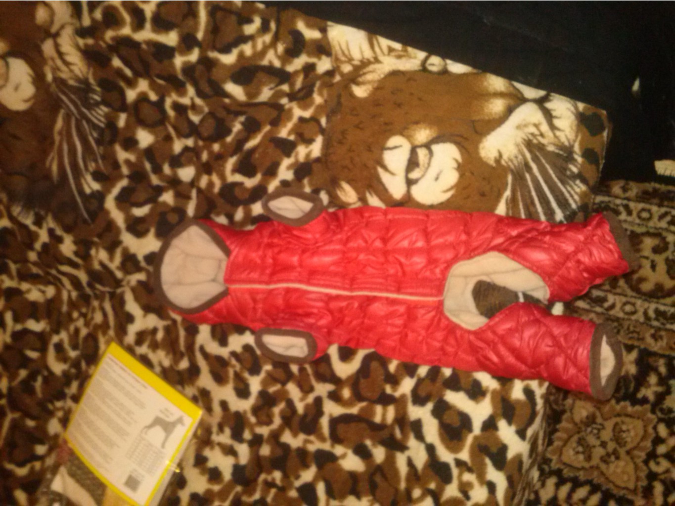 CAM00291.jpg