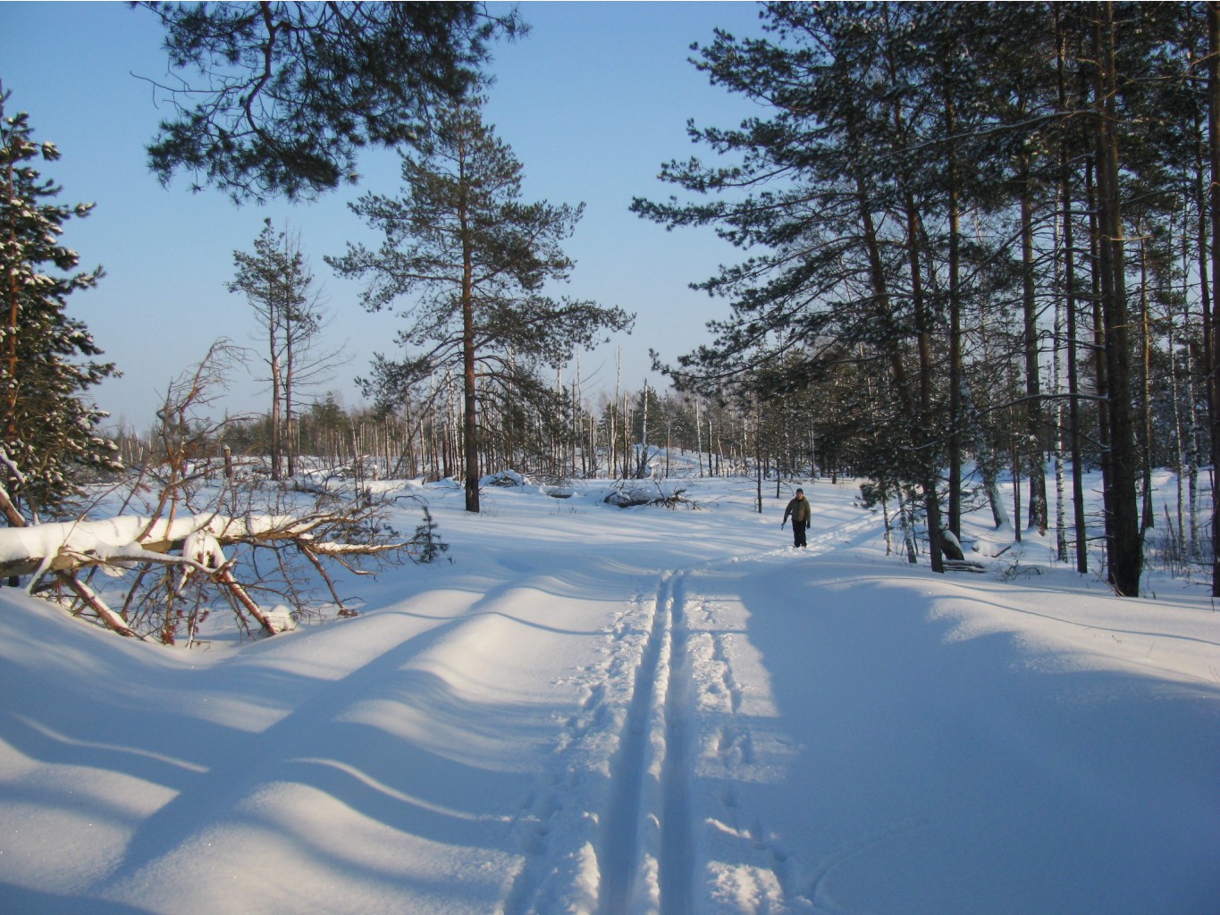 IMG 4909.JPG