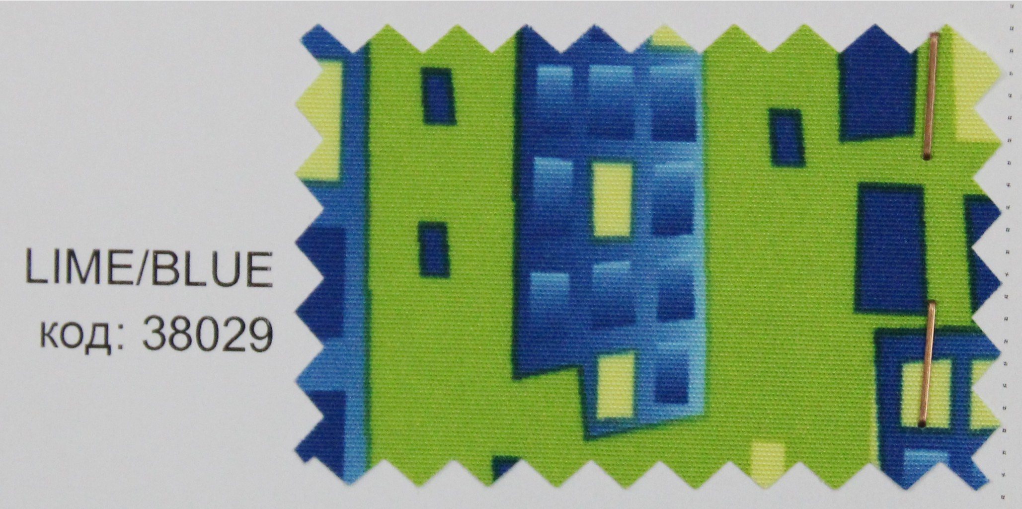 IMG 4057.JPG