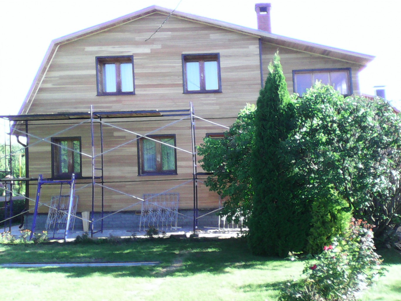 IMG 20150811 080239.jpg