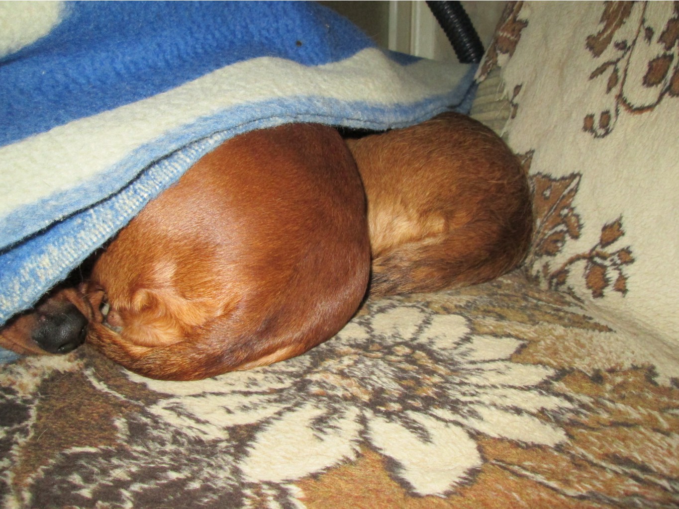 IMG 4053.JPG