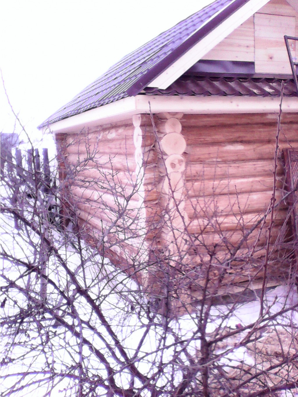 IMG 20160202 162911.jpg