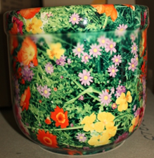 185    холендерка