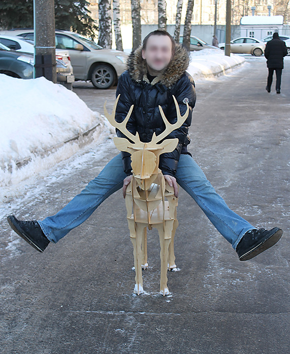 Deer 03.jpg