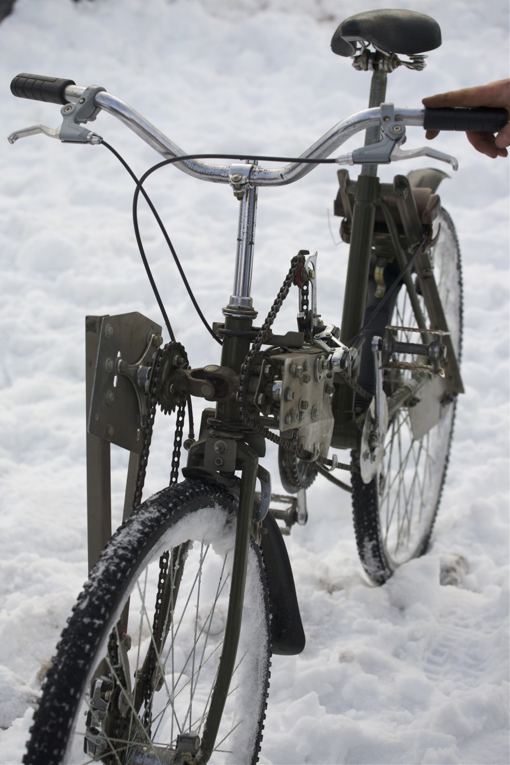 IMG 3497.jpg