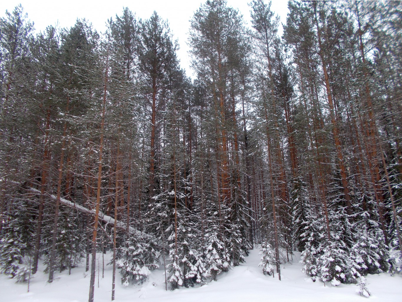 DSCN3082.JPG