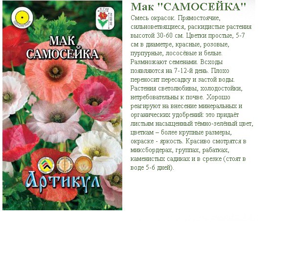   0,1  (, h=30-60, d=5-7)-9,99..jpg