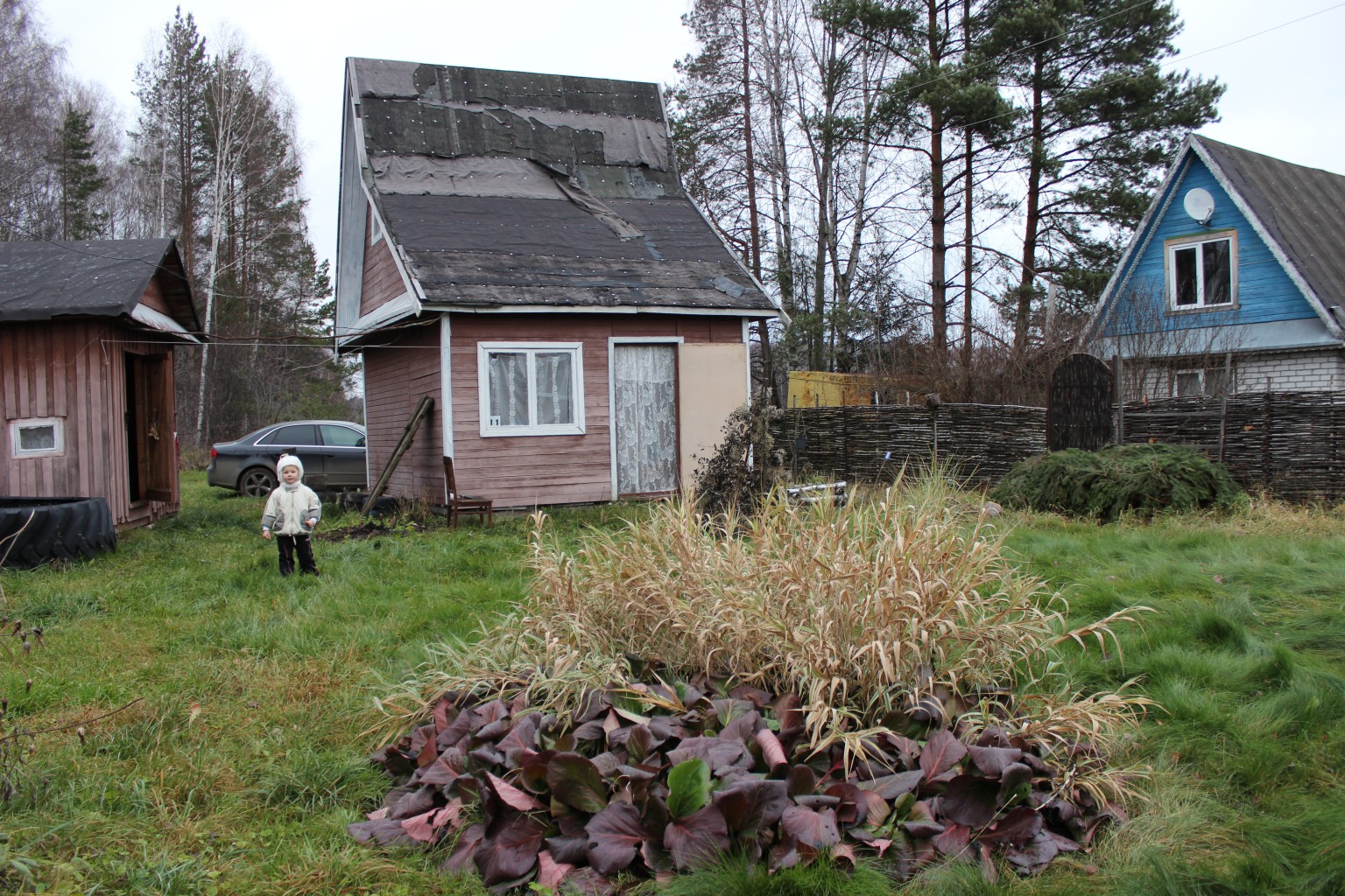 IMG 0949.JPG