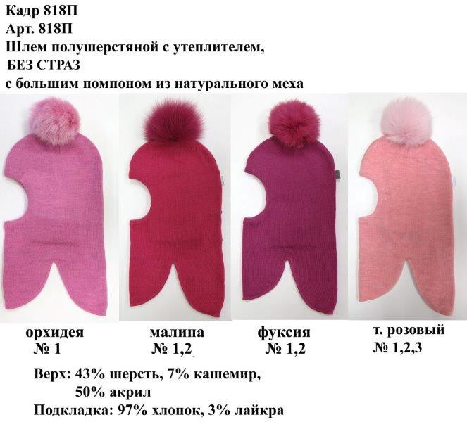 818П.jpg