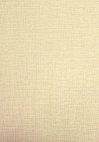 Erismann-poesia-4027-12-oboi 290x290.jpg