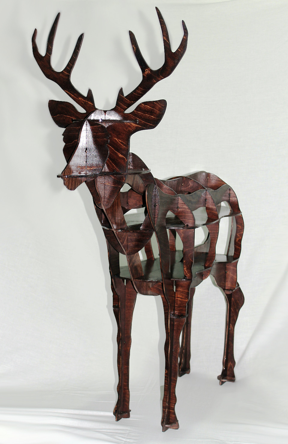 Deer 02.jpg