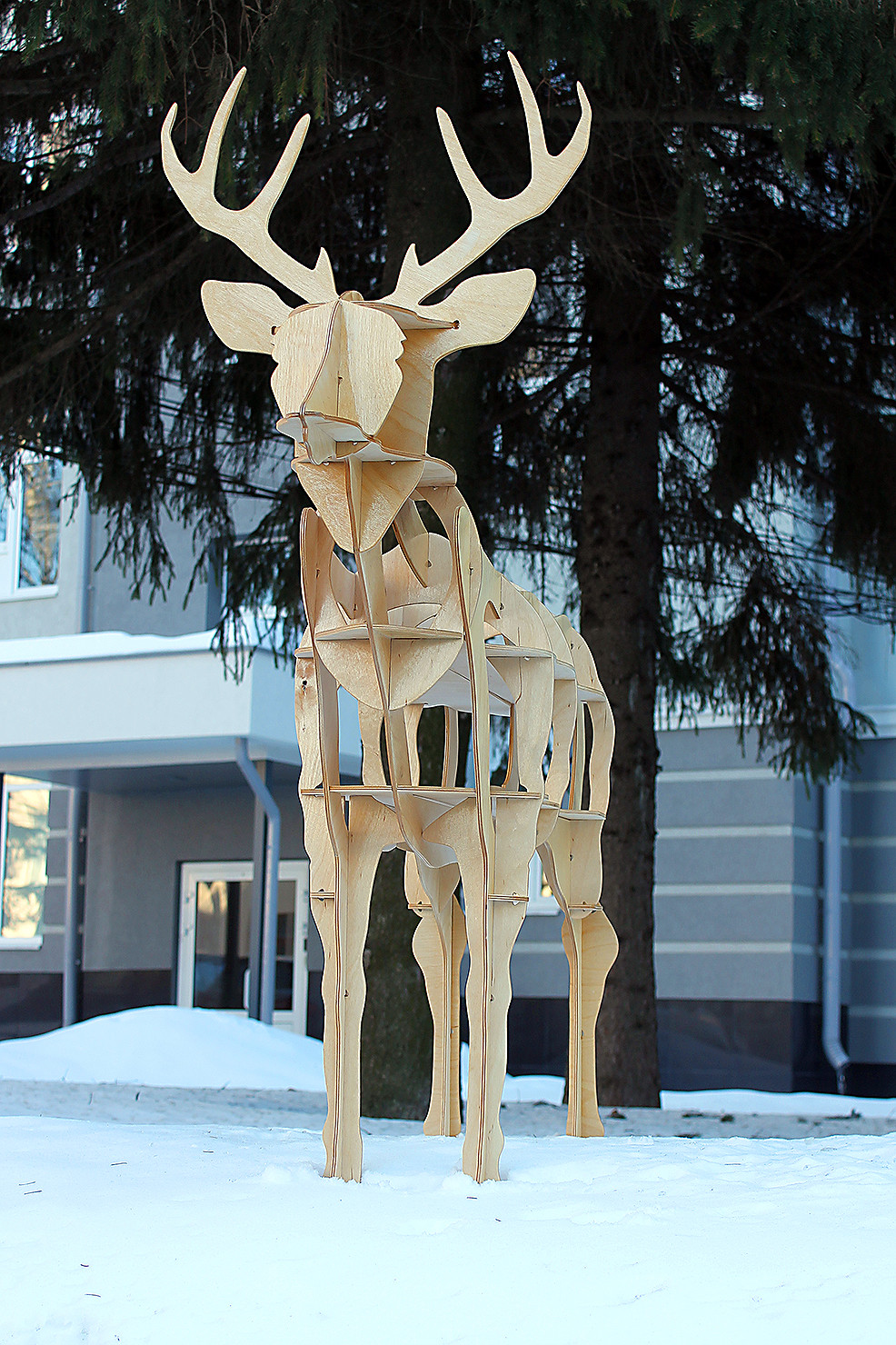 Deer 05.jpg