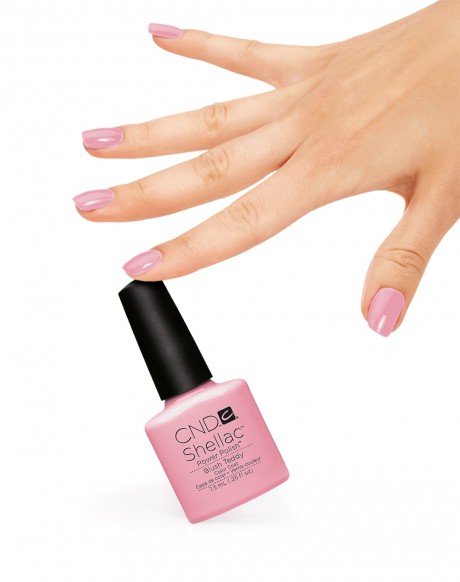 Shellac.Blush Teddy