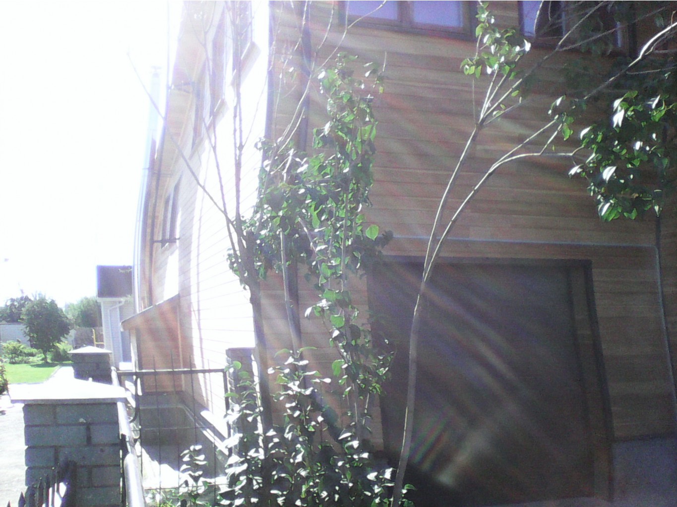 IMG 20150811 080455.jpg